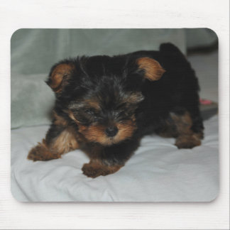 baby yorkie mouse mat