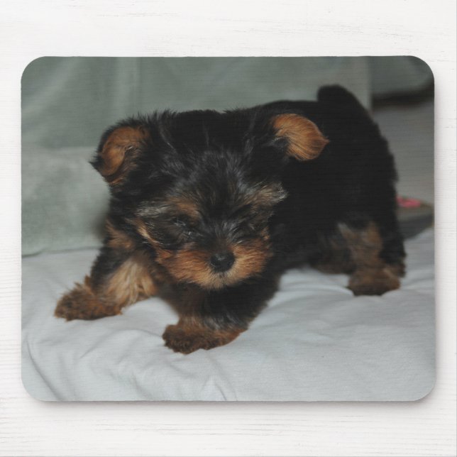 baby yorkie mouse mat (Front)