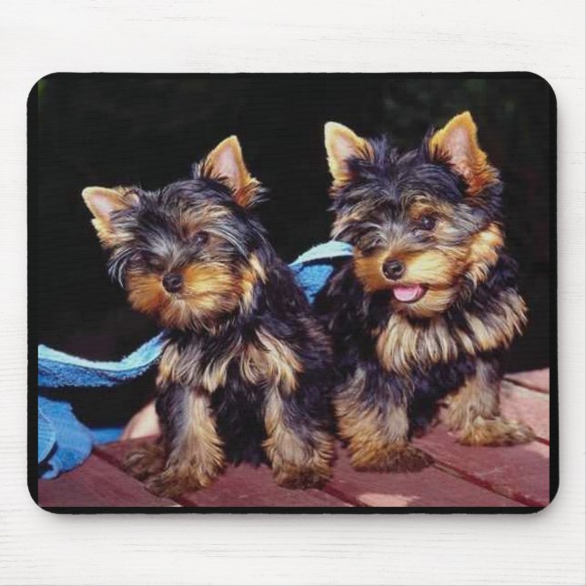 Baby Yorkies Mousepad (Front)