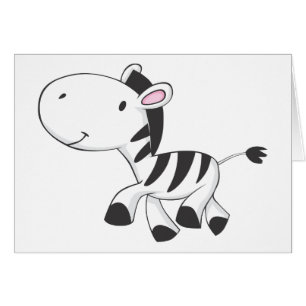 Baby Zebra