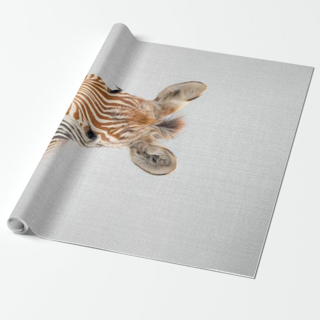 Baby Zebra Colourful Canvas Wrapping Paper (Unrolled)