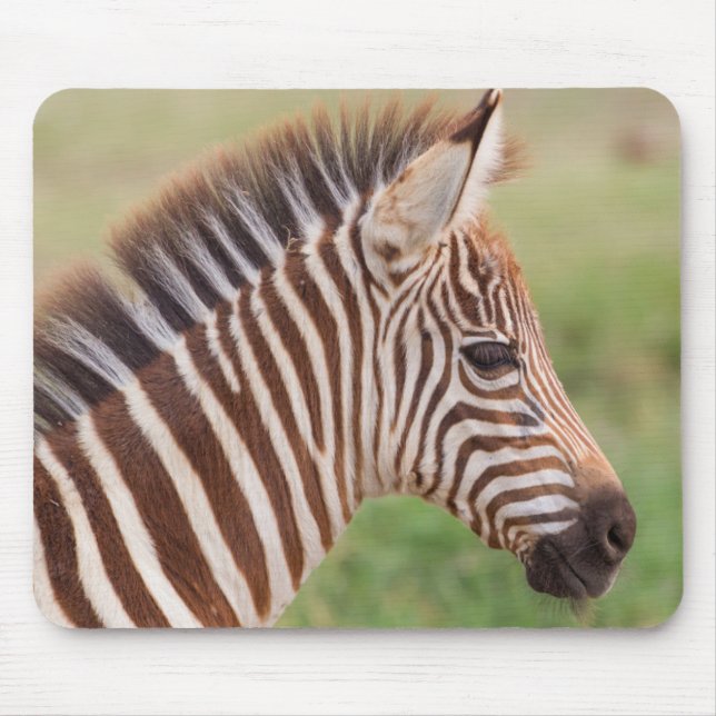Baby zebra head, Tanzania Mouse Mat (Front)
