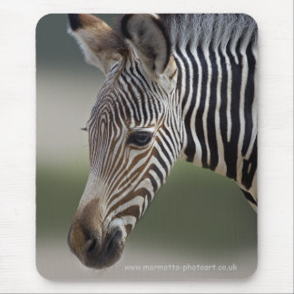 Baby Zebra Mousemat
