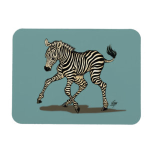 Baby zebra on blue background magnet