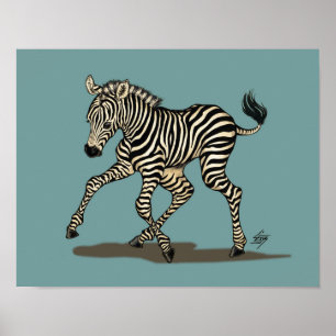 Baby zebra on blue background poster