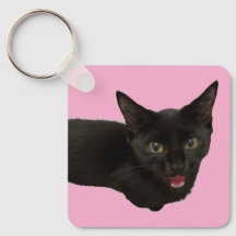 Baby Zina – Black Cat Cute Keychain