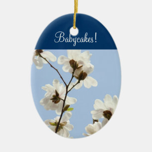 Babycakes! Blue Sky ornaments White Magnolias