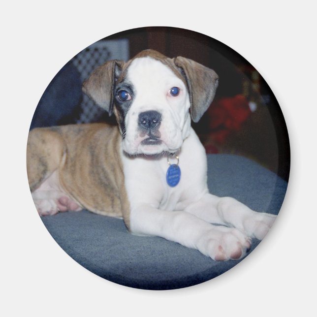 BabyChloe2 Magnet (Front)