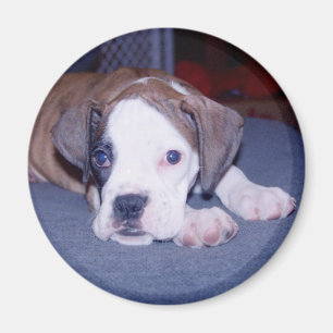 BabyChloe Magnet