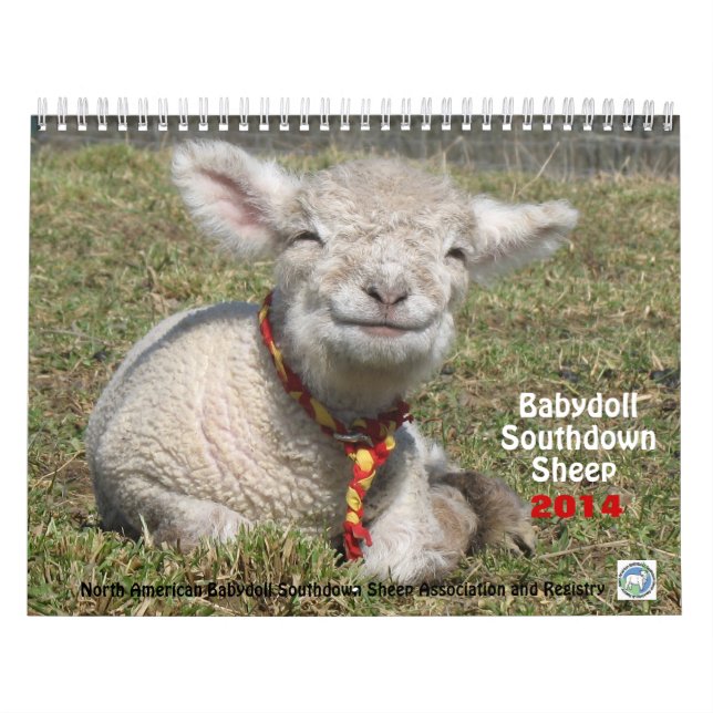 Babydoll Southdown Sheep 2014 NABSSAR calendar (Cover)