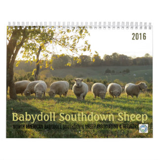 Babydoll Southdown Sheep 2016 NABSSAR Calendar