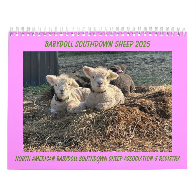 Babydoll Southdown Sheep 2025 Calendar (Cover)