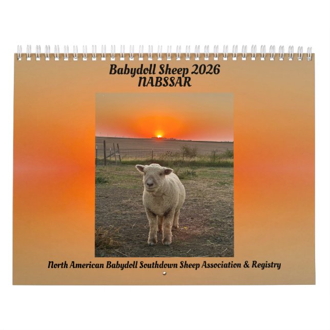 Babydoll Southdown Sheep 2026 NABSSAR Calendar (Cover)