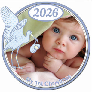 Baby's 1st Christmas 2010 Photo Sculpture Decoration