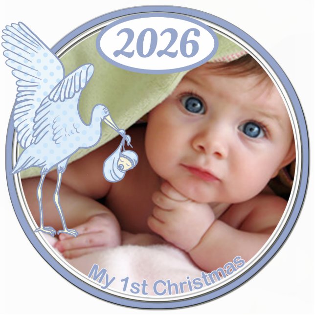 Baby's 1st Christmas 2010 Photo Sculpture Decoration (Front)