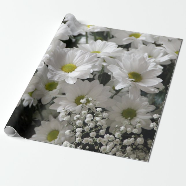 Baby's Breath & Daisies Wrapping Paper (Unrolled)