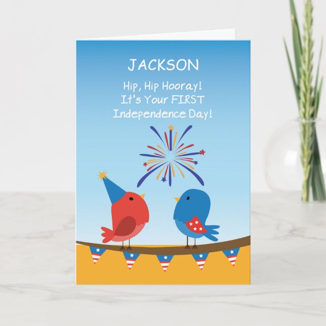 Babys First 4th of July Birds Watching Fireworks Card (Front)