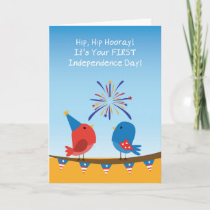 Babys First 4th of July Birds Watching Fireworks Card
