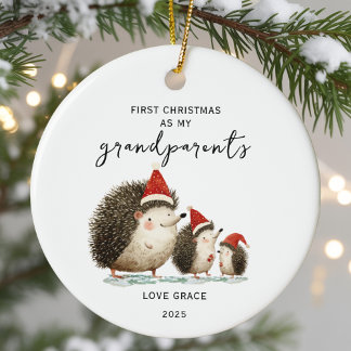Baby's First Christmas As My Grandparents Hedgehog Ceramic Tree Decoration