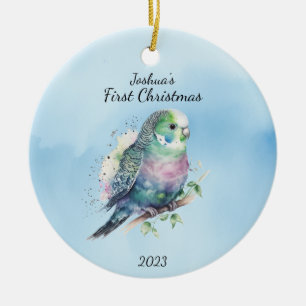 Baby's First Christmas Bird Personalised Ceramic Tree Decoration
