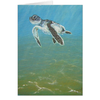 babyturtle