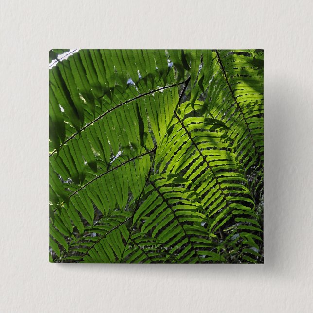 Bach Ma National Park 15 Cm Square Badge (Front)