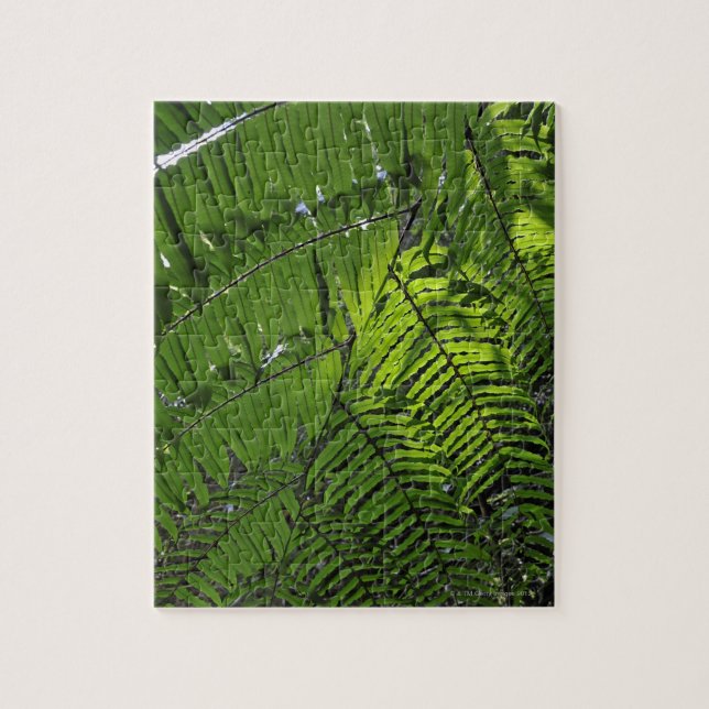 Bach Ma National Park Jigsaw Puzzle (Vertical)