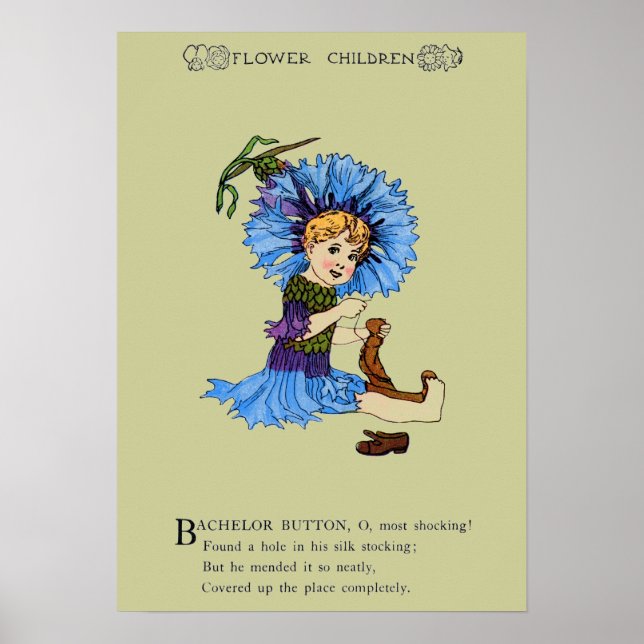 Bachelor Button Poster (Front)