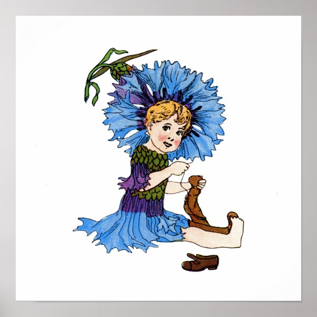 Bachelor Button Poster (Front)