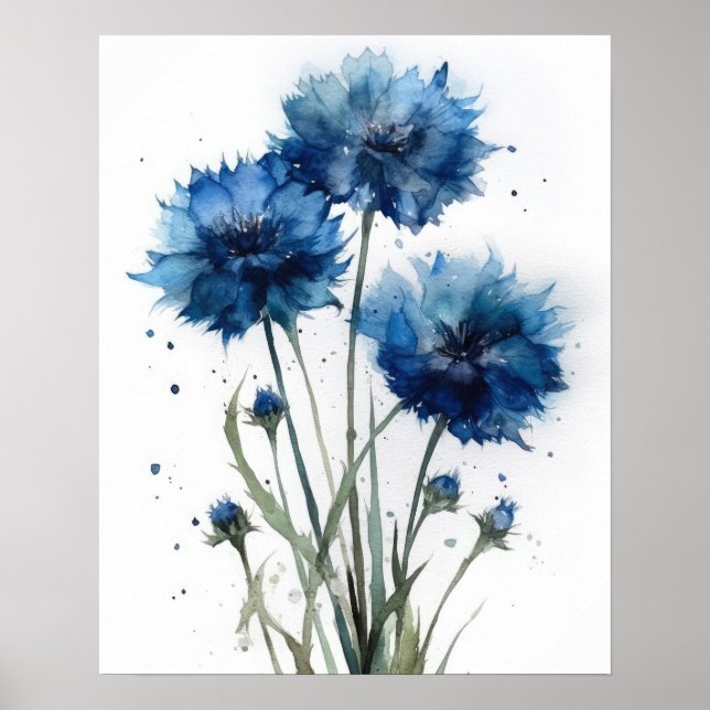 Bachelor Buttons Flower Art Print Poster (Front)