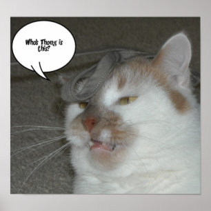 Bachelor Party Who's Thong is This Poster