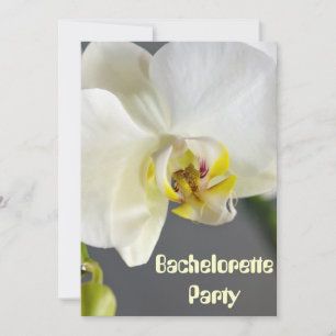 Bachelorette Party Custom Invites