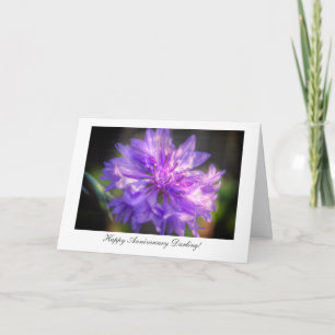 Bachelor's Button Cornflower - Happy Anniversary Card