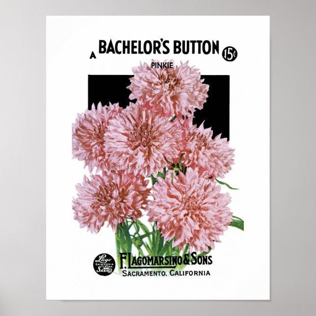 Bachelor's Buttons Seed Packet Label Poster (Front)