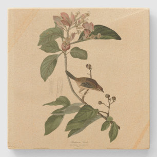 Bachman's Finch (Sparrow) Audubon Birds of America Stone Coaster