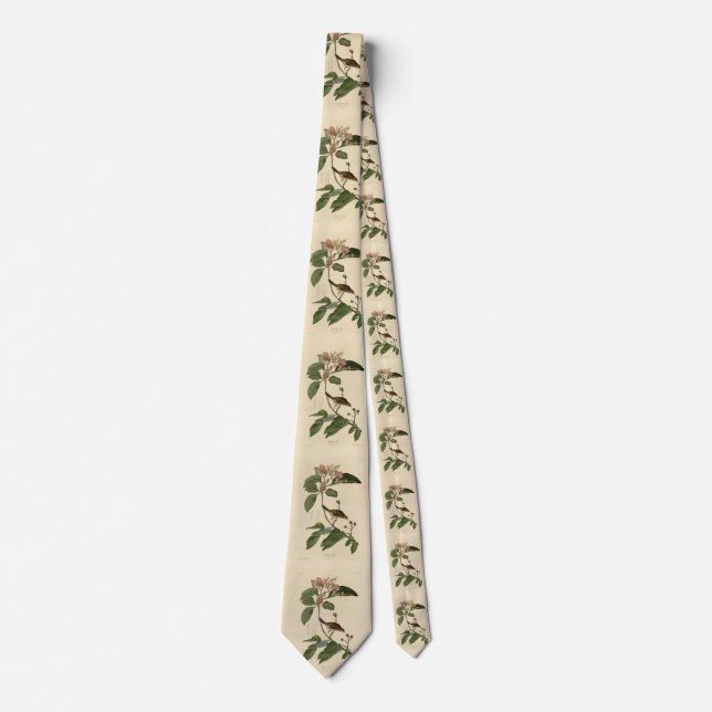 Bachman's Finch (Sparrow) Audubon Birds of America Tie (Front)