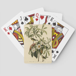 Bachman's Warbler, from Audubon's Birds of America Playing Cards