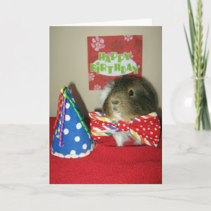 Baci's Birthday Party Card