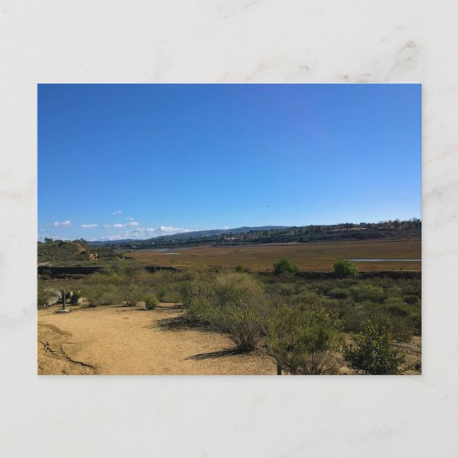 Back Bay, Newport Beach, California Postcard (Front)