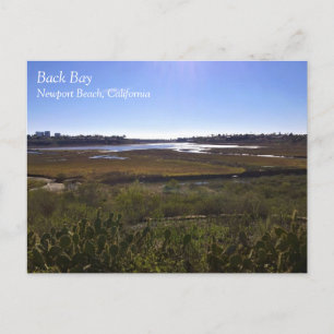 Back Bay, Newport Beach, California Postcard