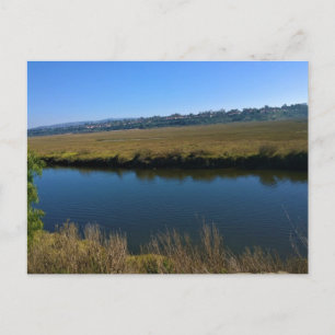 Back Bay, Newport Beach, California Postcard