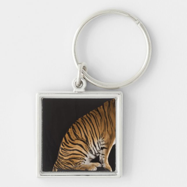 Back end of tiger sitting on platform key ring (Front)