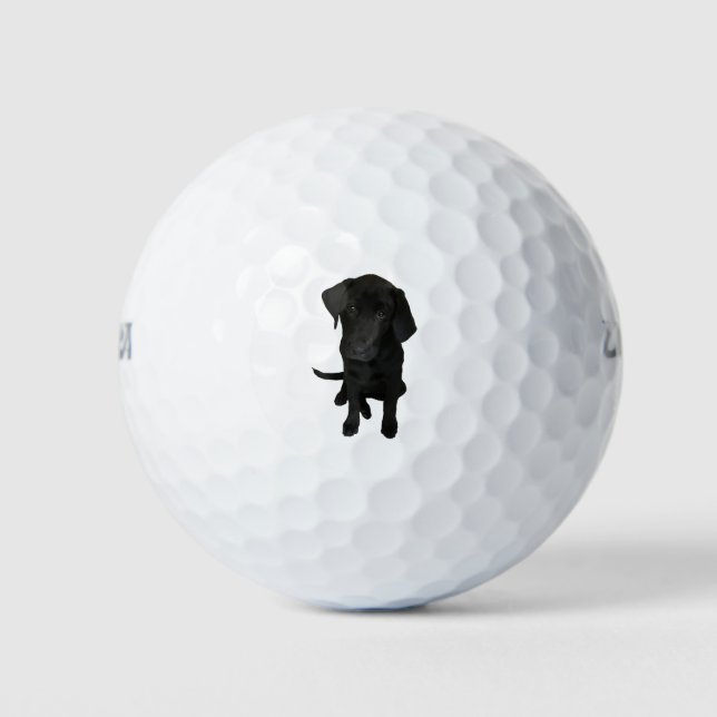 Back Lab Puppy Golf Balls (Front)