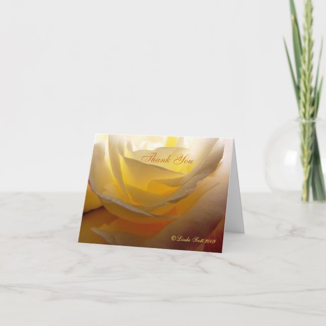 Back lit LindasDD Rose, ThankYou Design Thank You Card (Front)