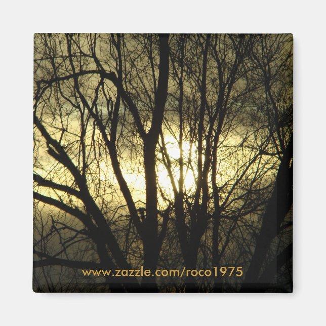 Back lit magnet (Front)