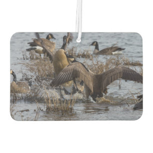 Back Off Car Air Freshener