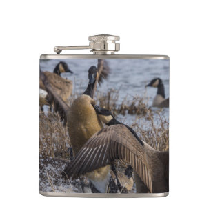Back Off Hip Flask