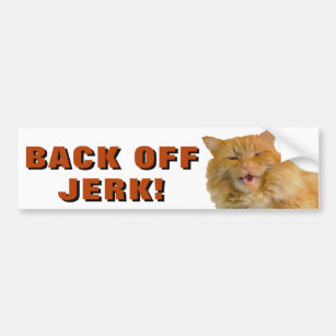 Back Off Jerk Cat Meme Bumper Sticker