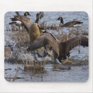 Back Off Mouse Mat