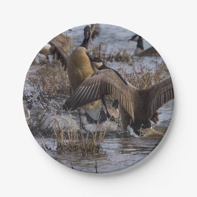 Back Off Paper Plate (Front)